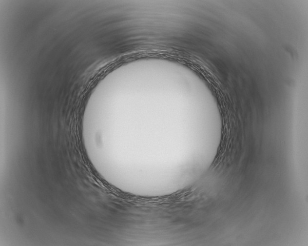 X0000111430773200907131039