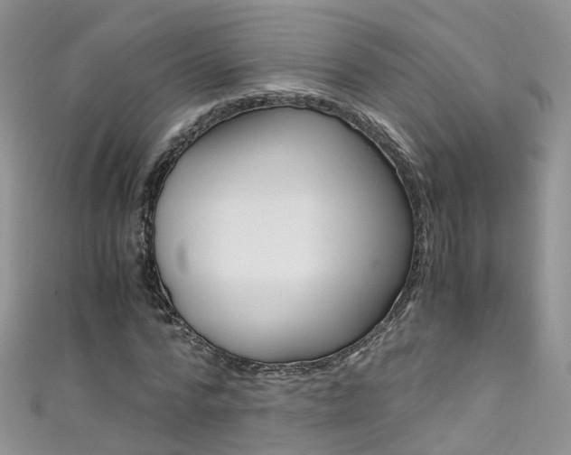 X0000111430776200907131039