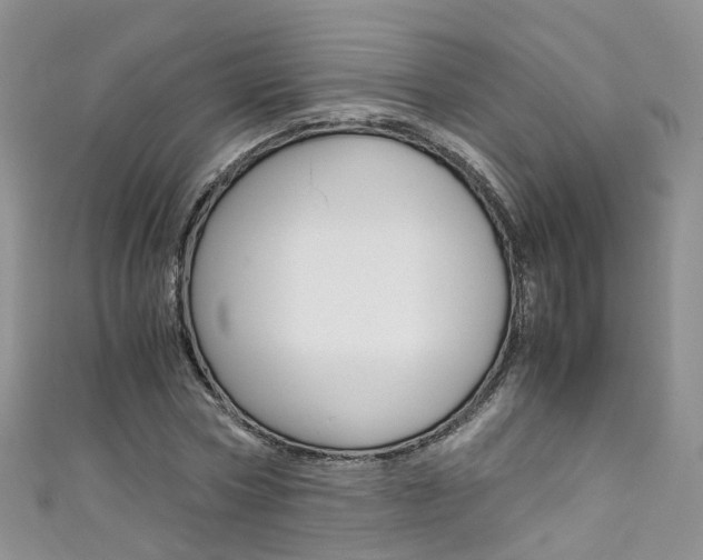 X0000111430778200907131039