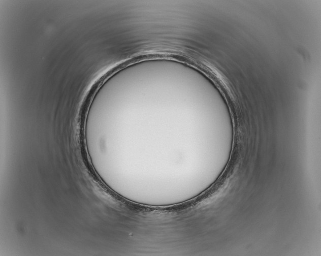 X0000111430779200907131039