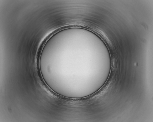 X0000111430780200907131039