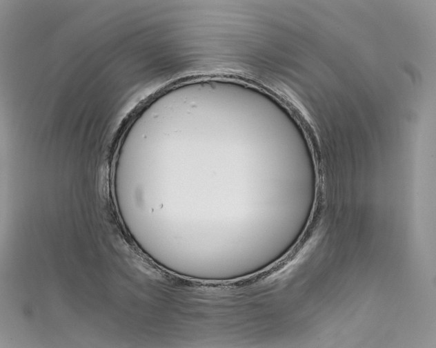 X0000111430781200907131039