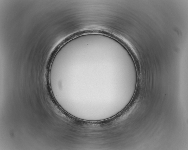 X0000111430783200907131039