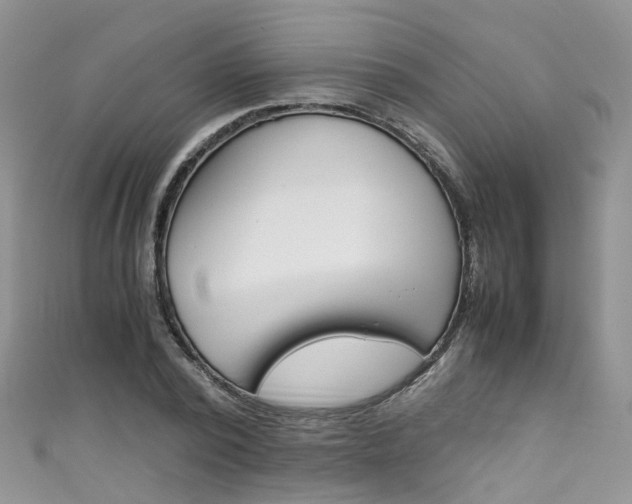 X0000111430784200907131039