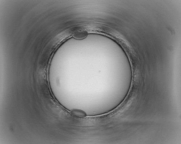 X0000111430785200907131039