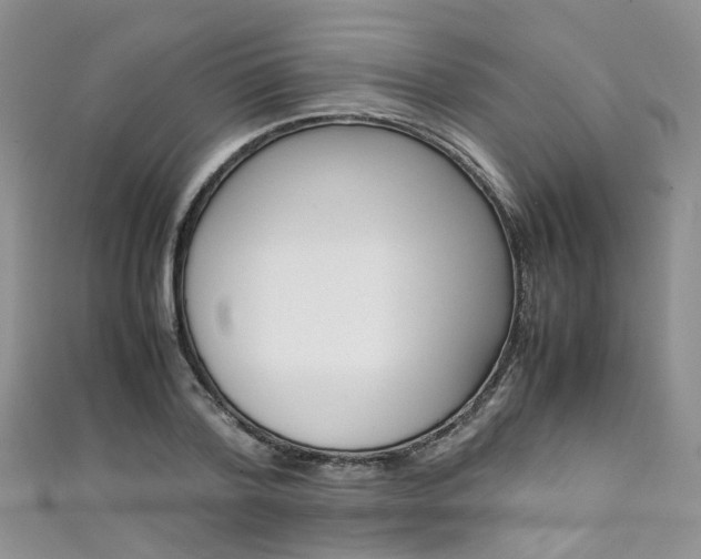 X0000111430788200907131039