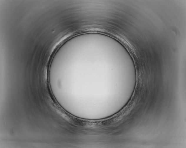 X0000111430790200907131039