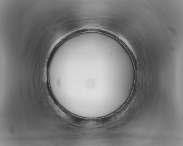 X0000111430791200907131039