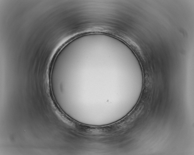 X0000111430792200907131039