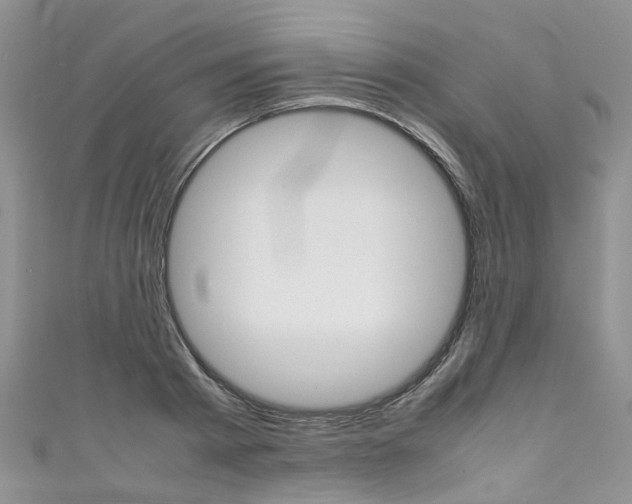 X0000111430793200907131039