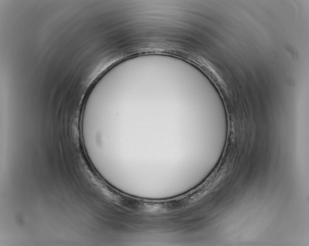 X0000111430794200907131039
