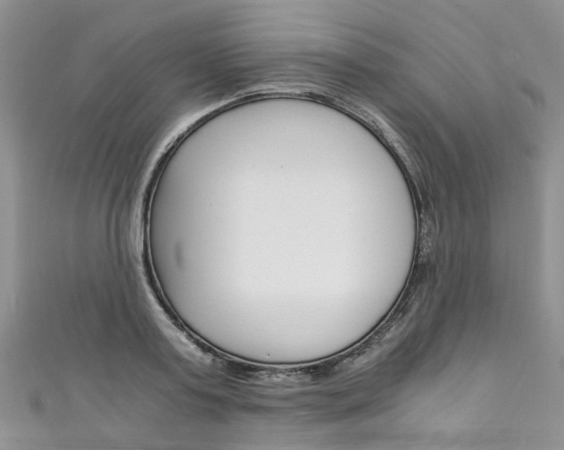 X0000111430795200907131039
