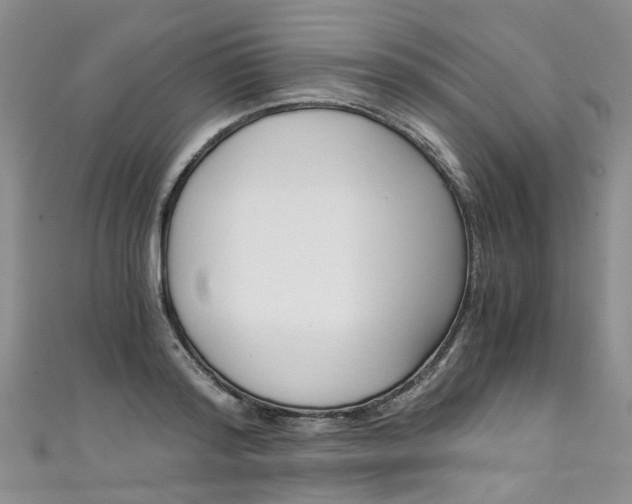 X0000111430796200907131039