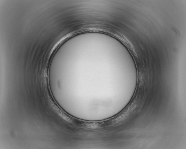 X0000111430798200907131039