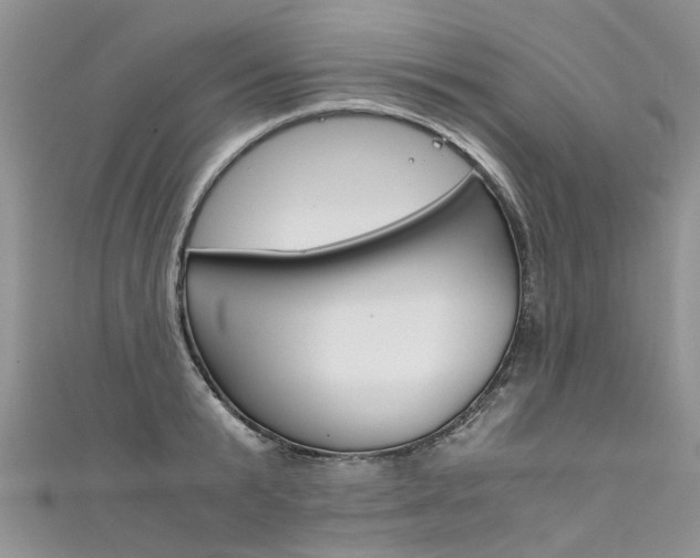 X0000111430799200907131039