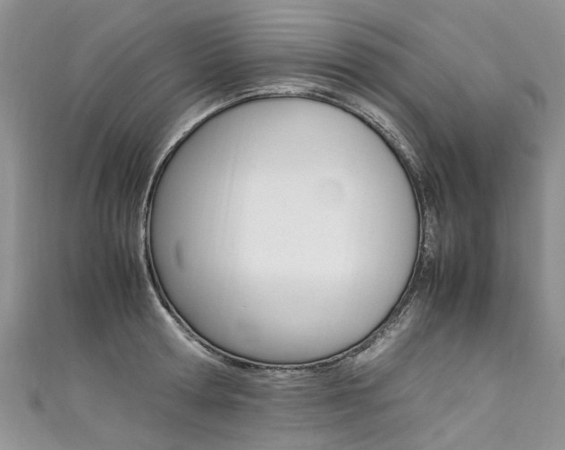 X0000111430802200907131039