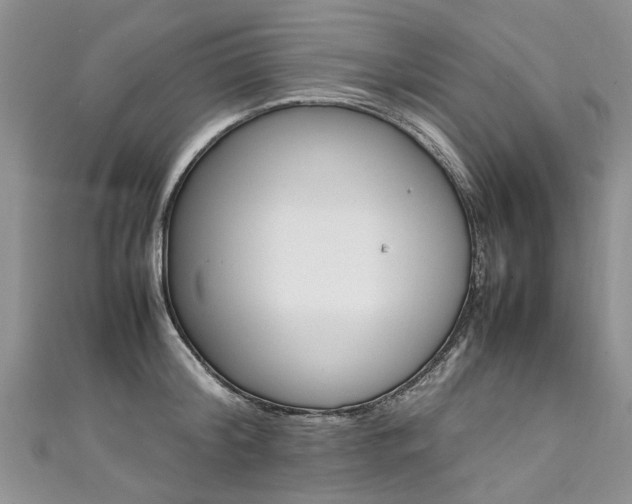 X0000111430804200907131039