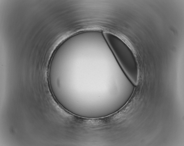 X0000111430805200907131039