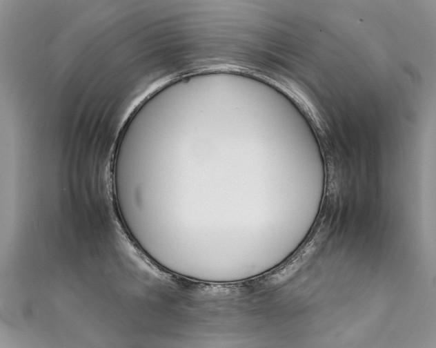 X0000111430806200907131039