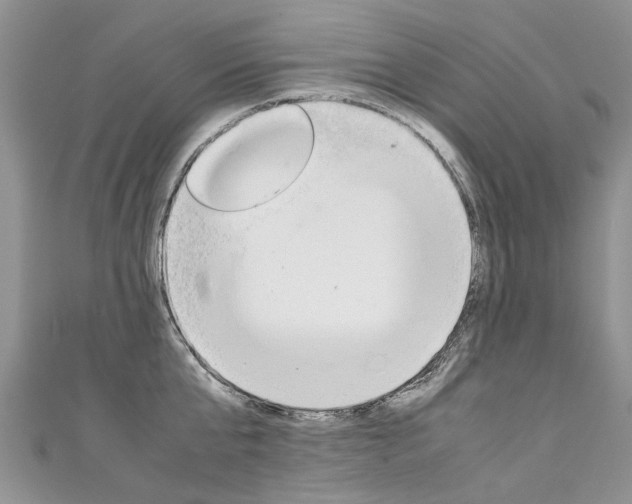 X0000111430807200907131039