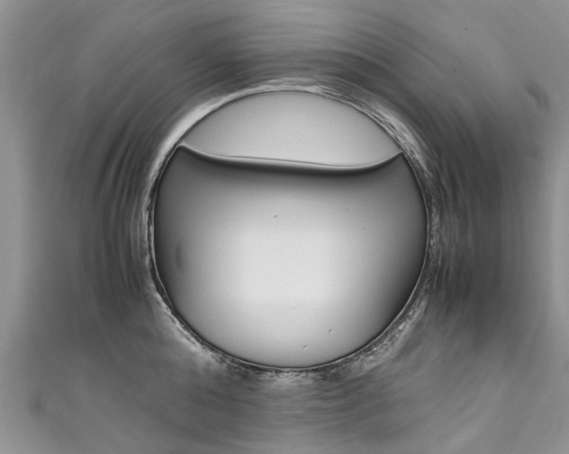 X0000111430808200907131039