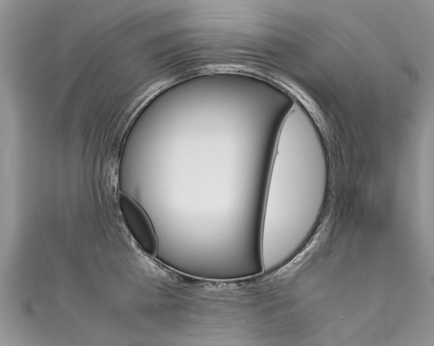 X0000111430809200907131039