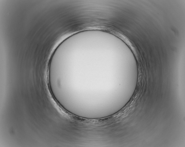 X0000111430811200907131039