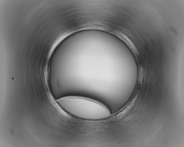 X0000111430812200907131039