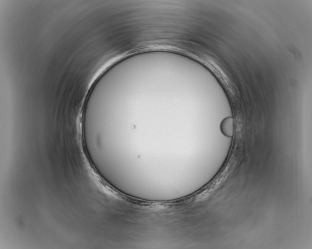 X0000111430814200907131039