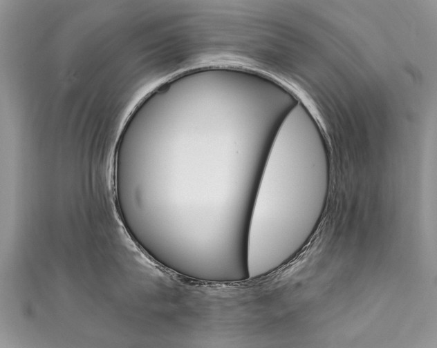 X0000111430815200907131039