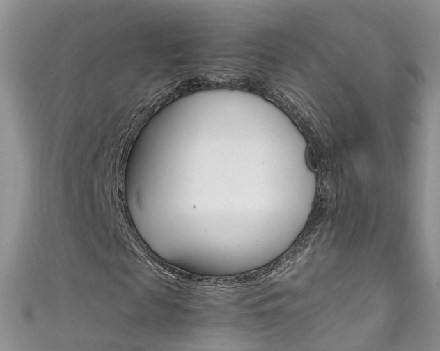 X0000111430817200907131038