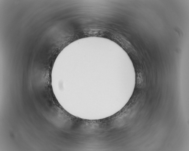 X0000111430820200907131038