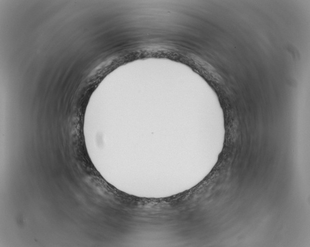 X0000111430824200907131038