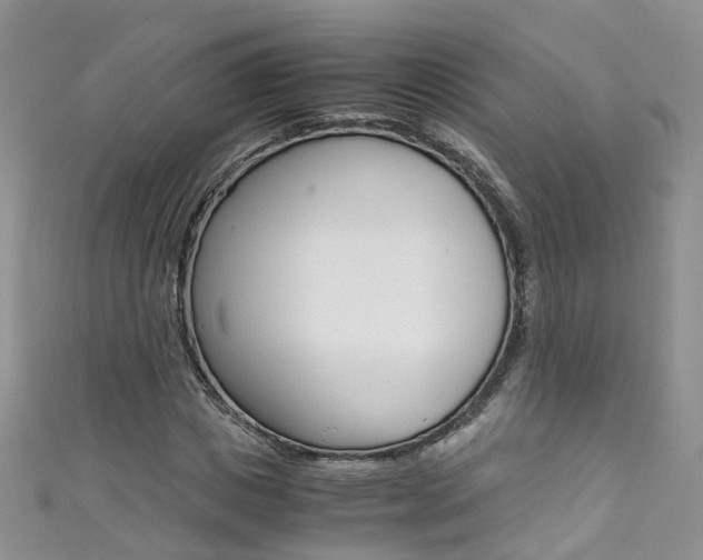 X0000111430825200907131038