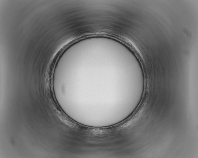 X0000111430827200907131038