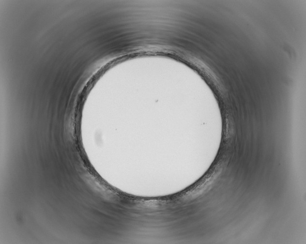X0000111430828200907131038