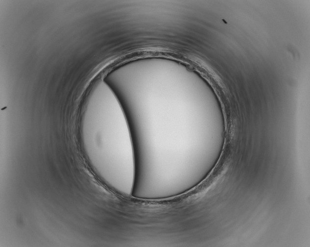 X0000111430829200907131038