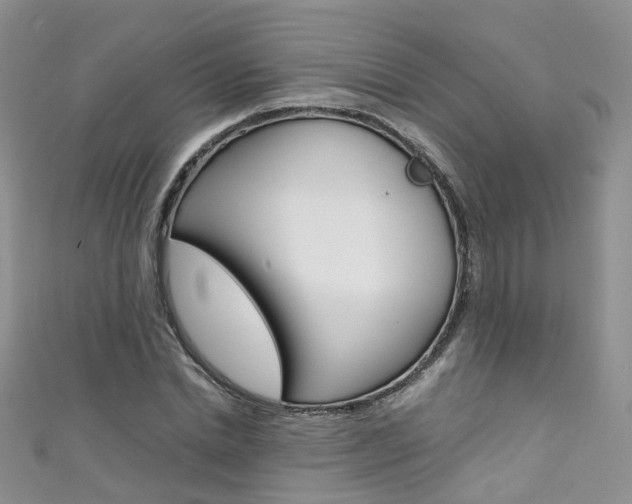 X0000111430830200907131038