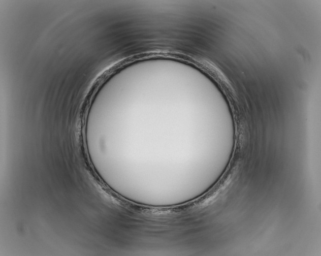 X0000111430831200907131038