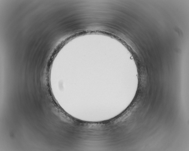 X0000111430832200907131038