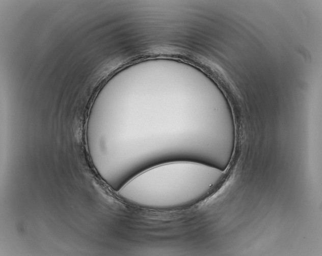 X0000111430833200907131038