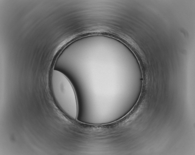 X0000111430834200907131038