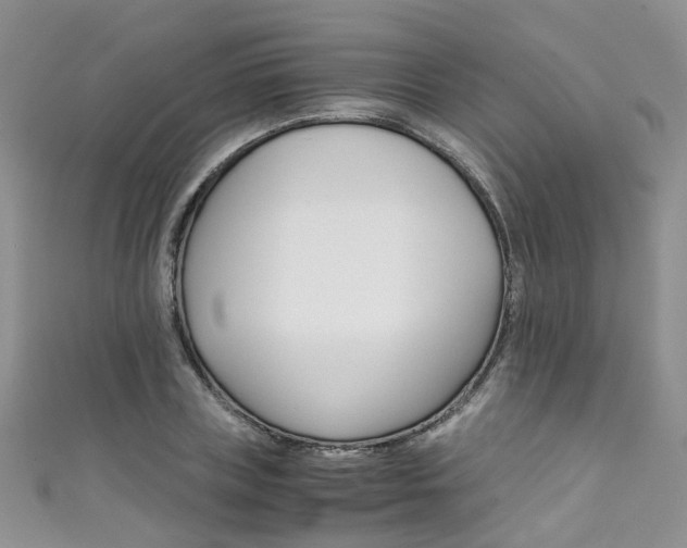 X0000111430835200907131039