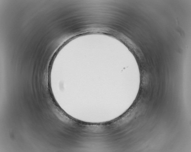 X0000111430836200907131039