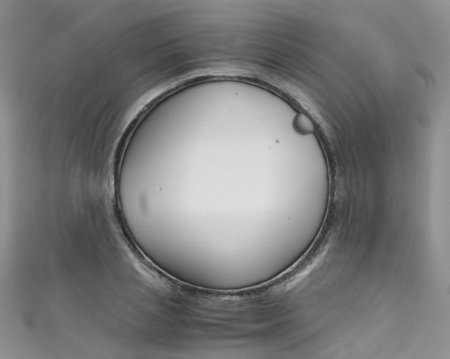 X0000111430837200907131039
