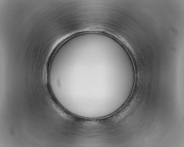 X0000111430838200907131039
