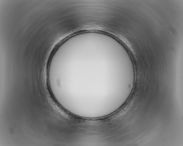 X0000111430840200907131039