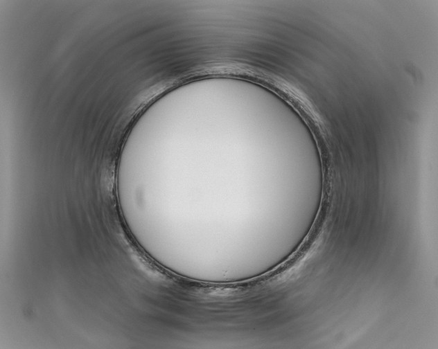 X0000111430841200907131039