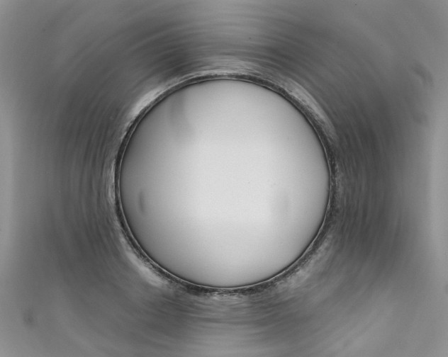 X0000111430842200907131039