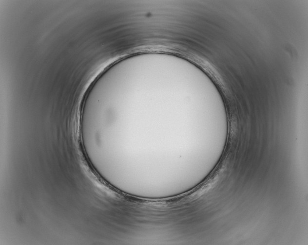 X0000111430844200907131039
